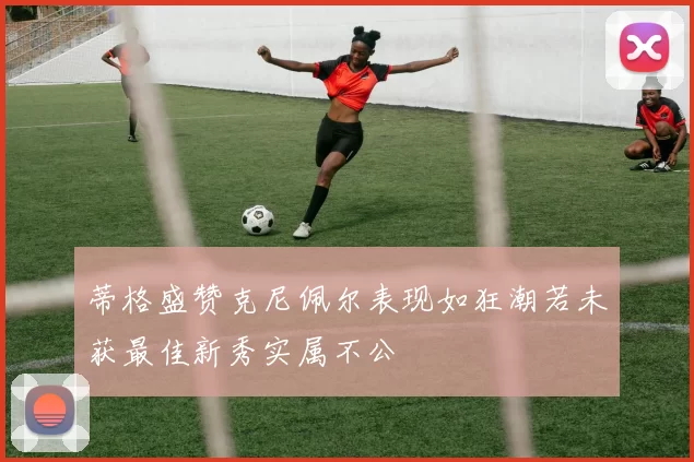 蒂格盛赞克尼佩尔表现如狂潮若未获最佳新秀实属不公